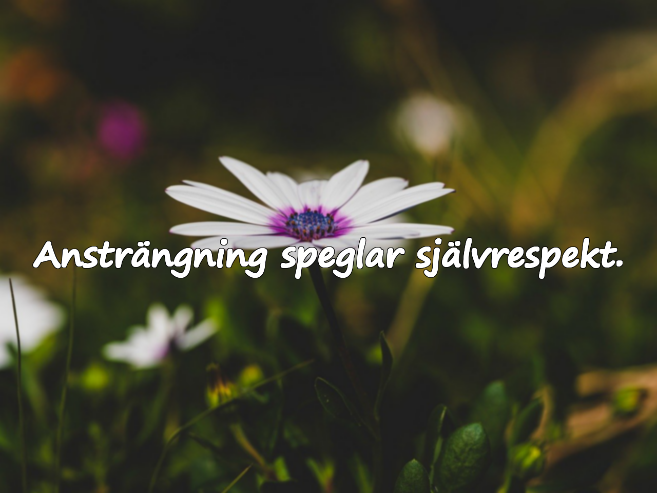 Ansträngning speglar självrespekt.