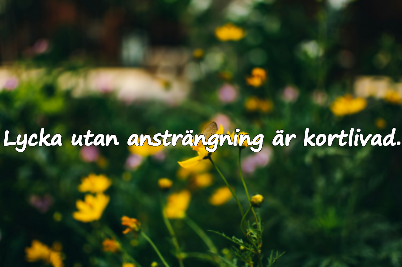 Citat om Ansträngning