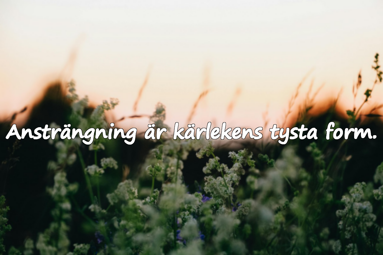 Citat om Ansträngning