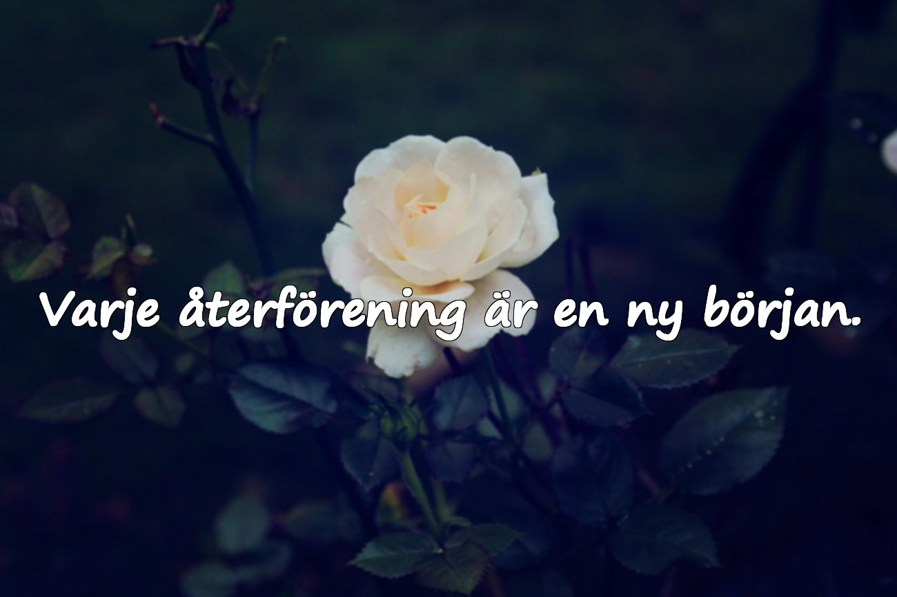 Varje återförening är en ny början.
