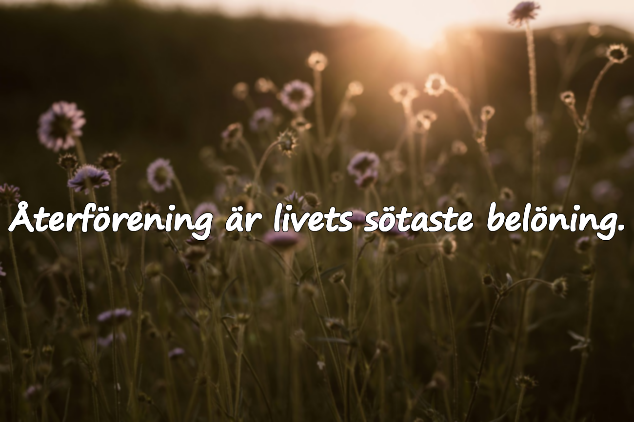 Återförening är livets sötaste belöning.