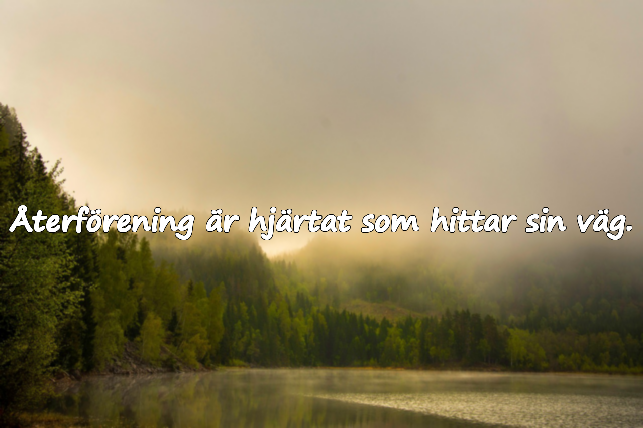 Återförening är hjärtat som hittar sin väg.