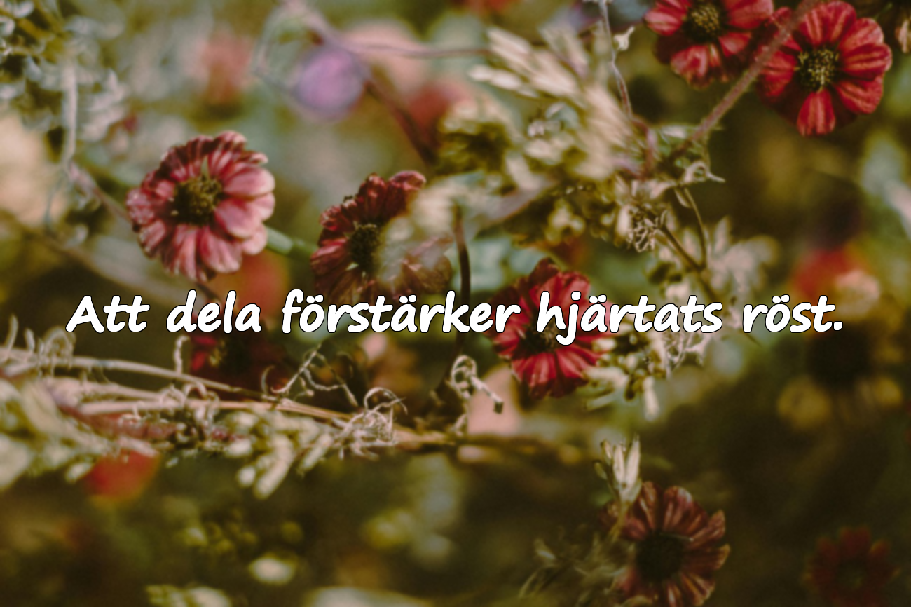 Citat om Att Dela och Hjälpa