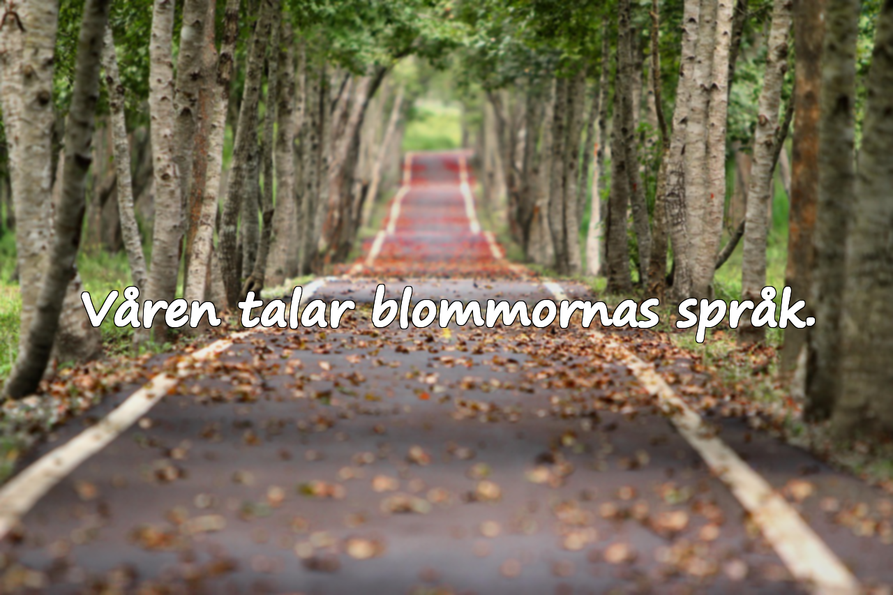 Citat om Blommor