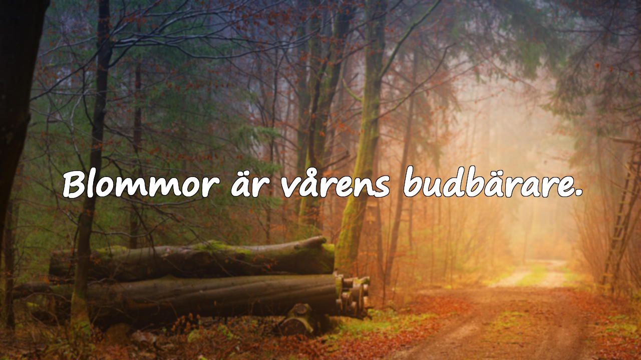 Citat om Blommor