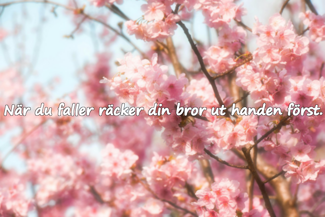 Citat om Broderskap