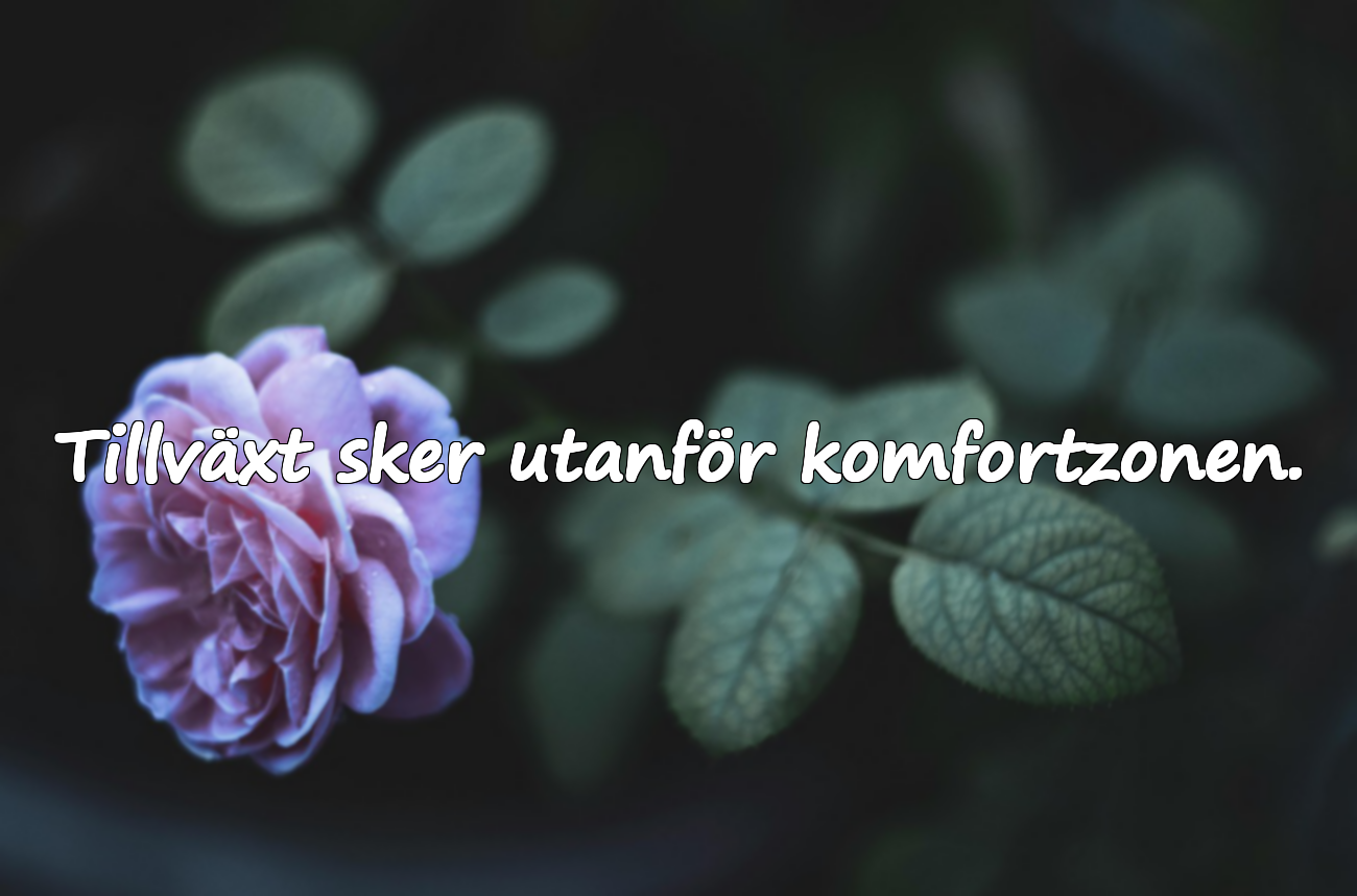 Tillväxt sker utanför komfortzonen.