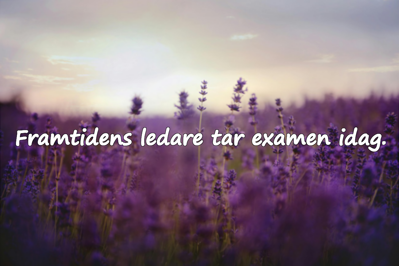 Citat om Examensdagen