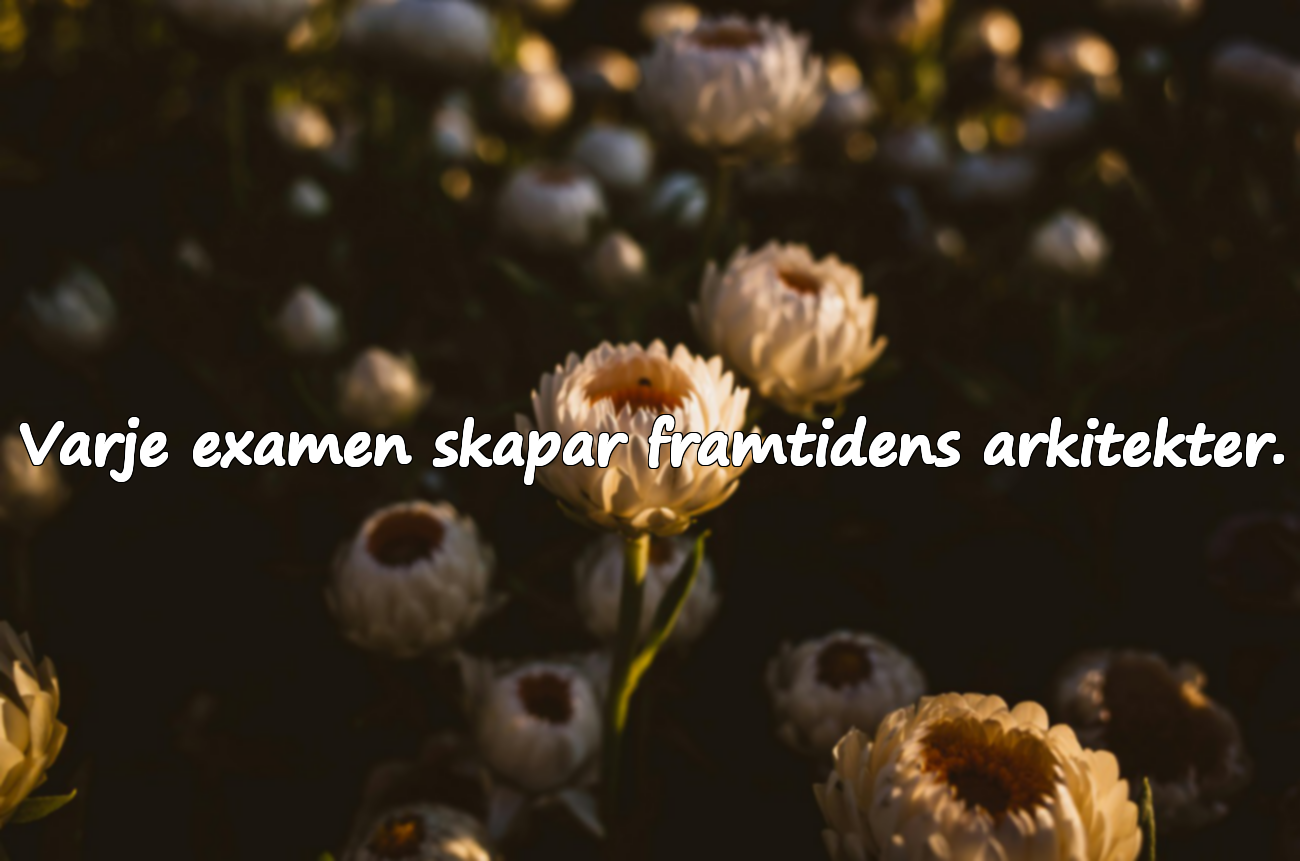 Citat om Examensdagen