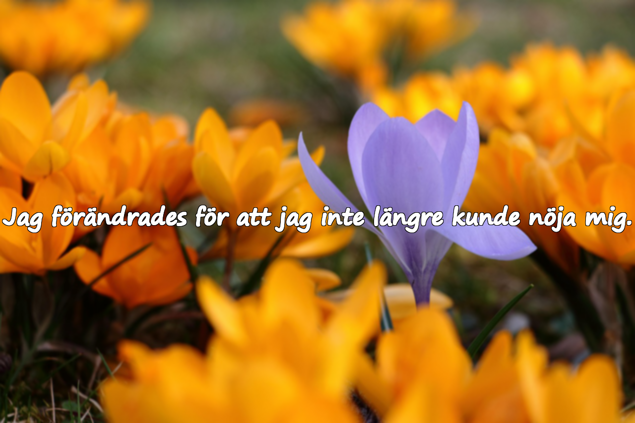 Citat om Förändring i Relationer