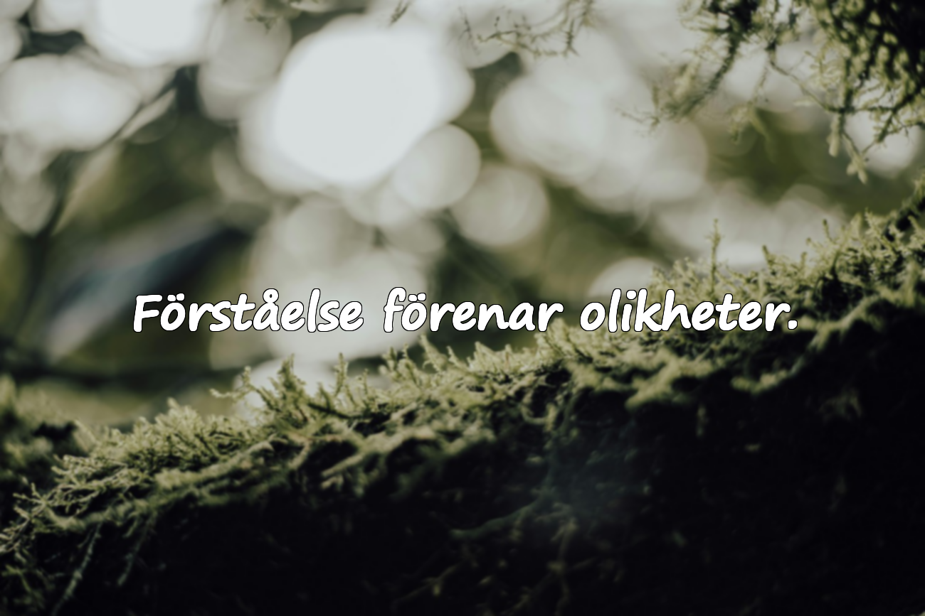 Citat om Förståelse