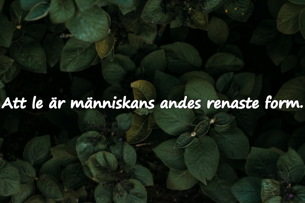 Att le är människans andes renaste form.