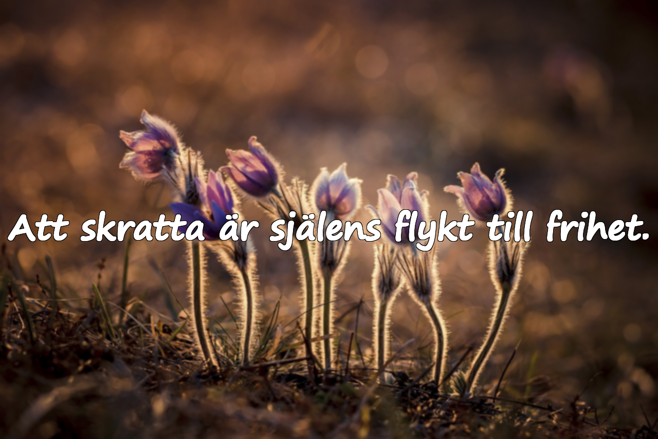 Citat om Leenden, Skratt och Leenden