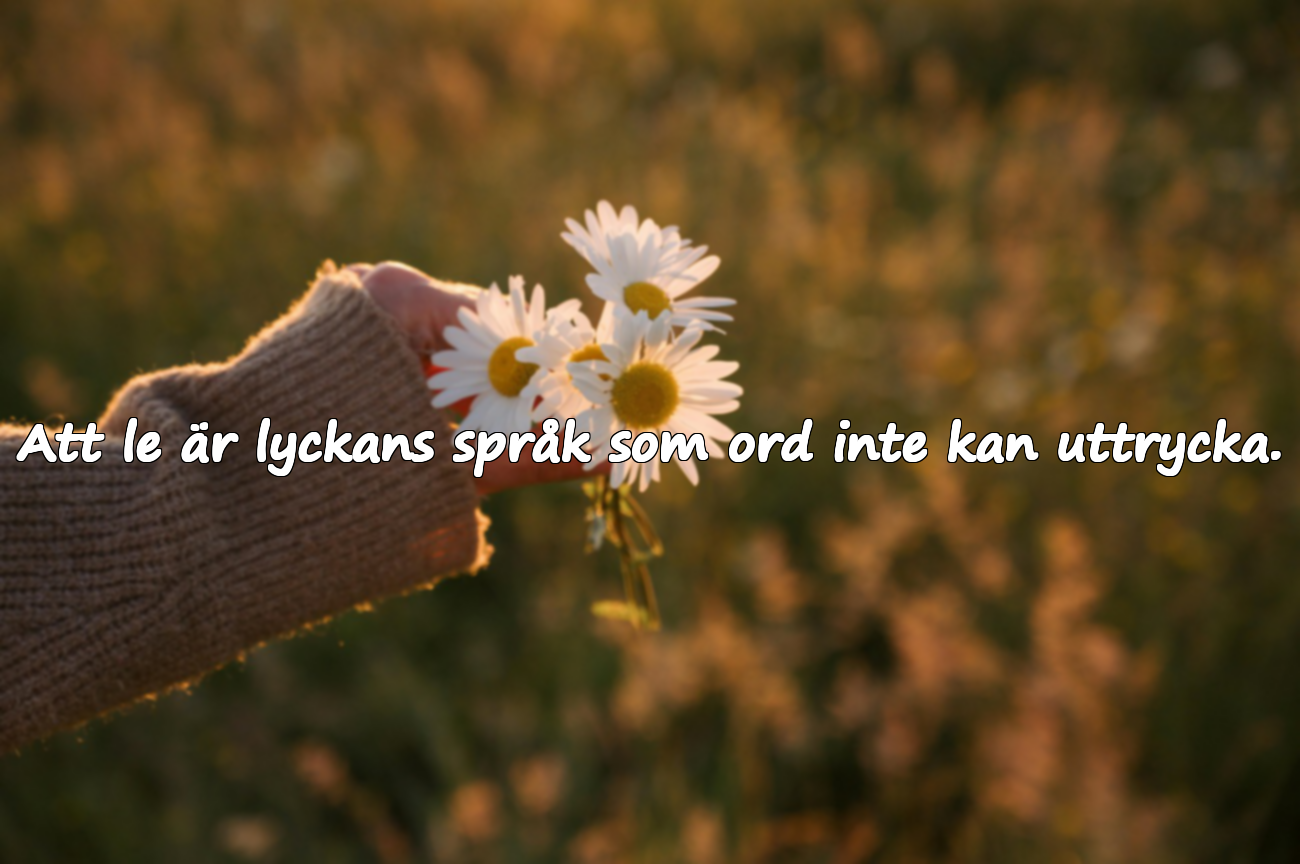 Citat om Leenden, Skratt och Leenden