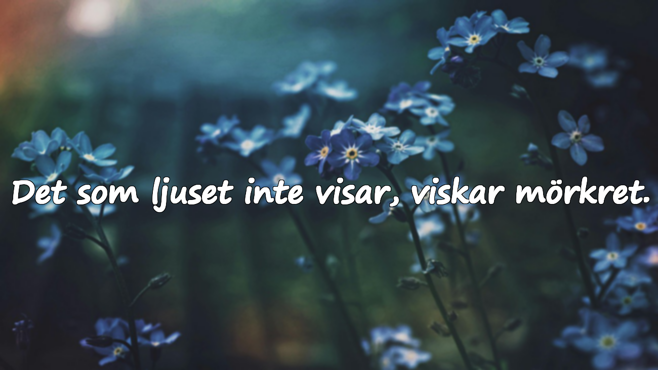 Citat om Mörker