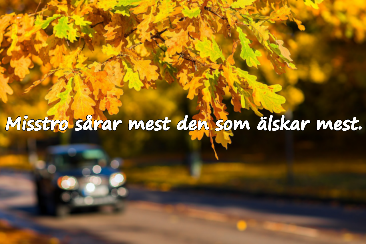 Misstro sårar mest den som älskar mest.