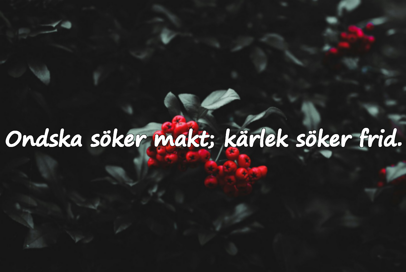 Citat om Ondska