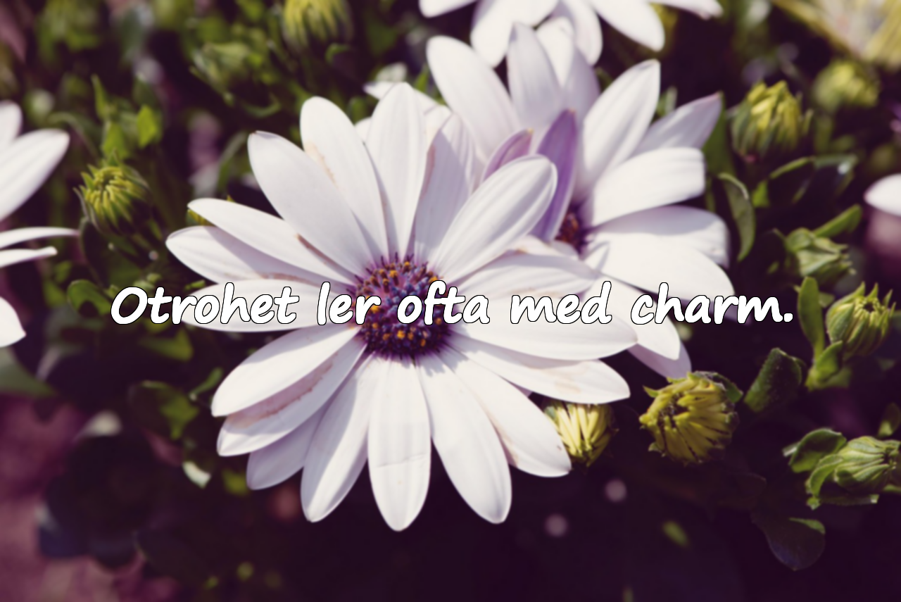 Citat om Otrohet