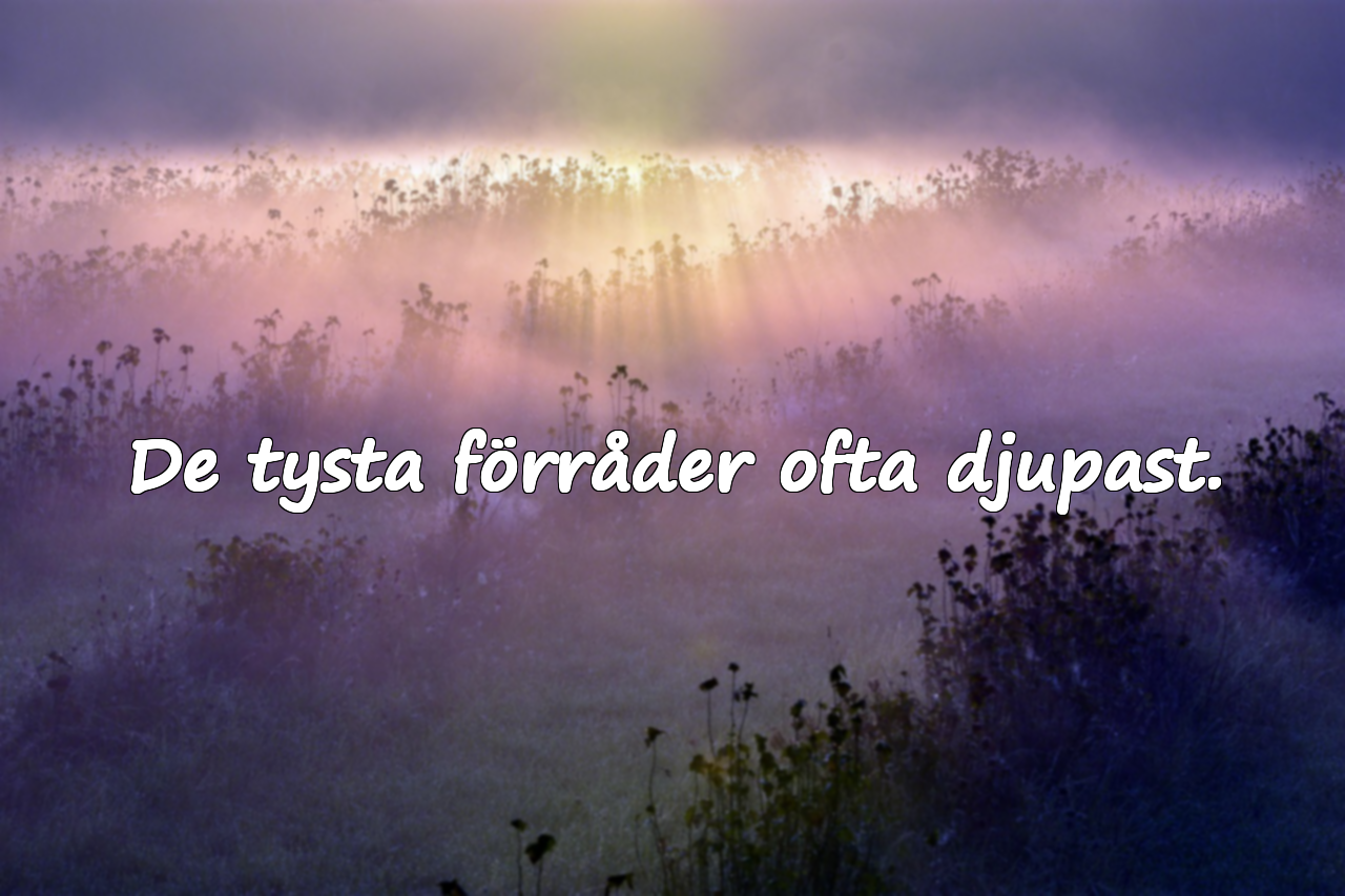 Citat om Otrohet