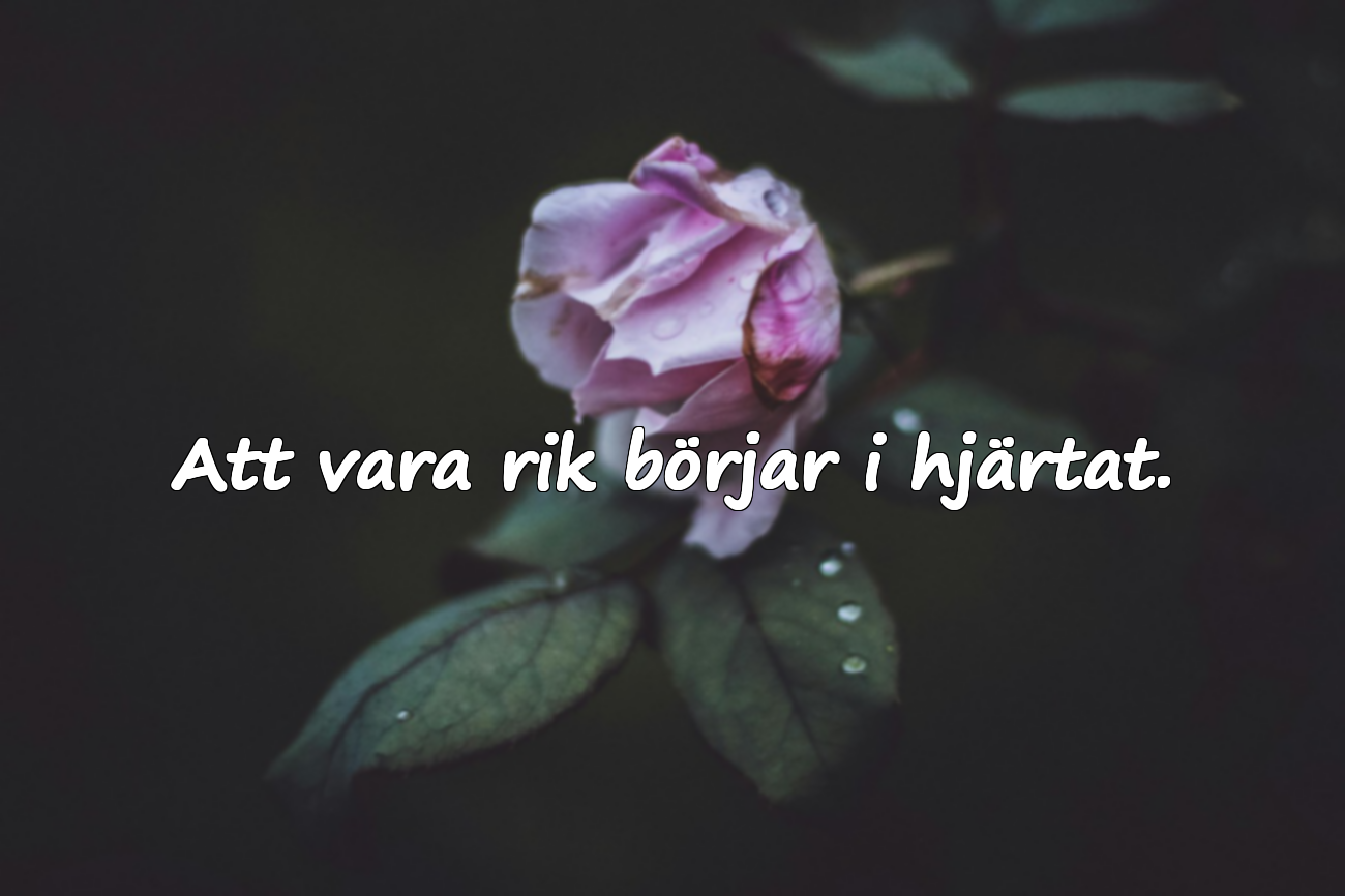 Citat om Pengar
