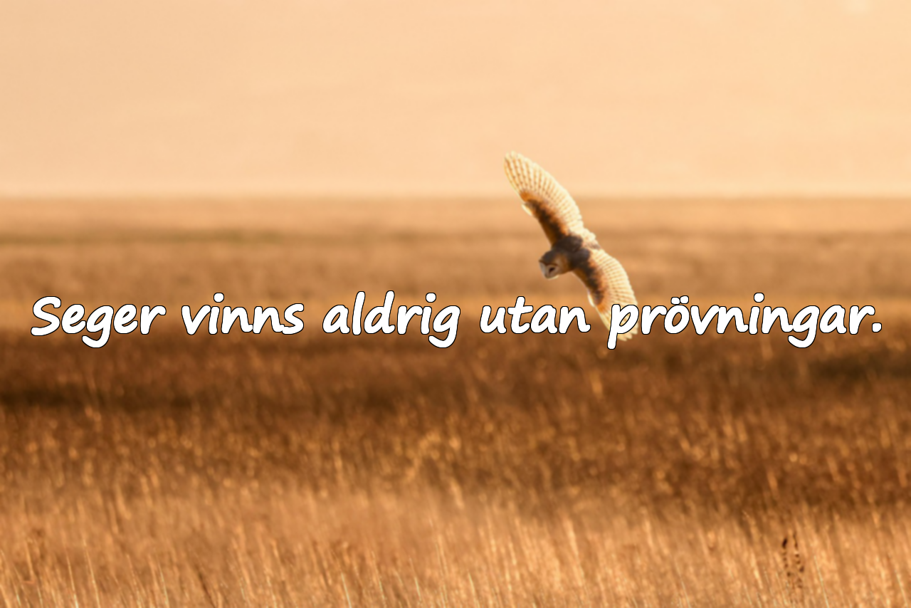Citat om Prövningar