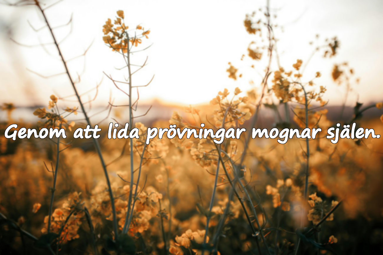 Citat om Prövningar