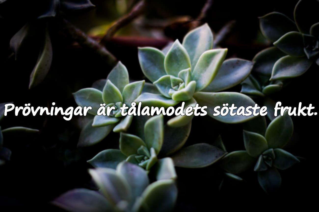 Citat om Prövningar
