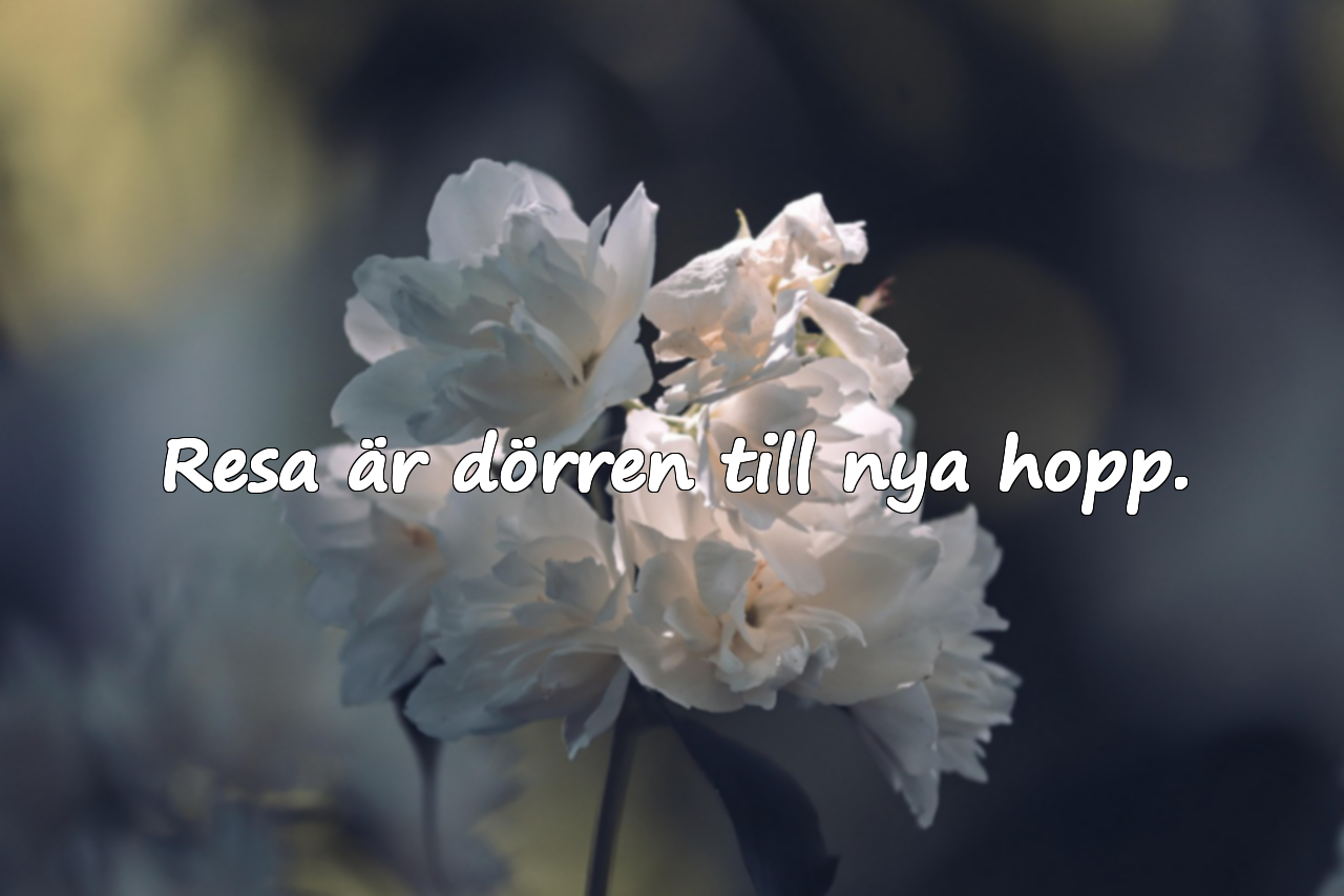 Citat om Resa