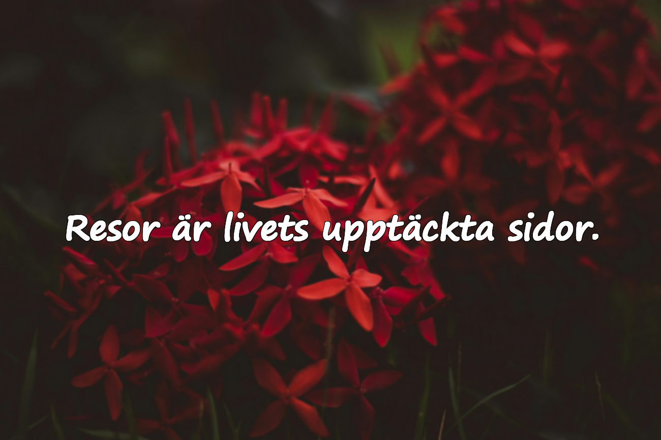 Citat om Resa