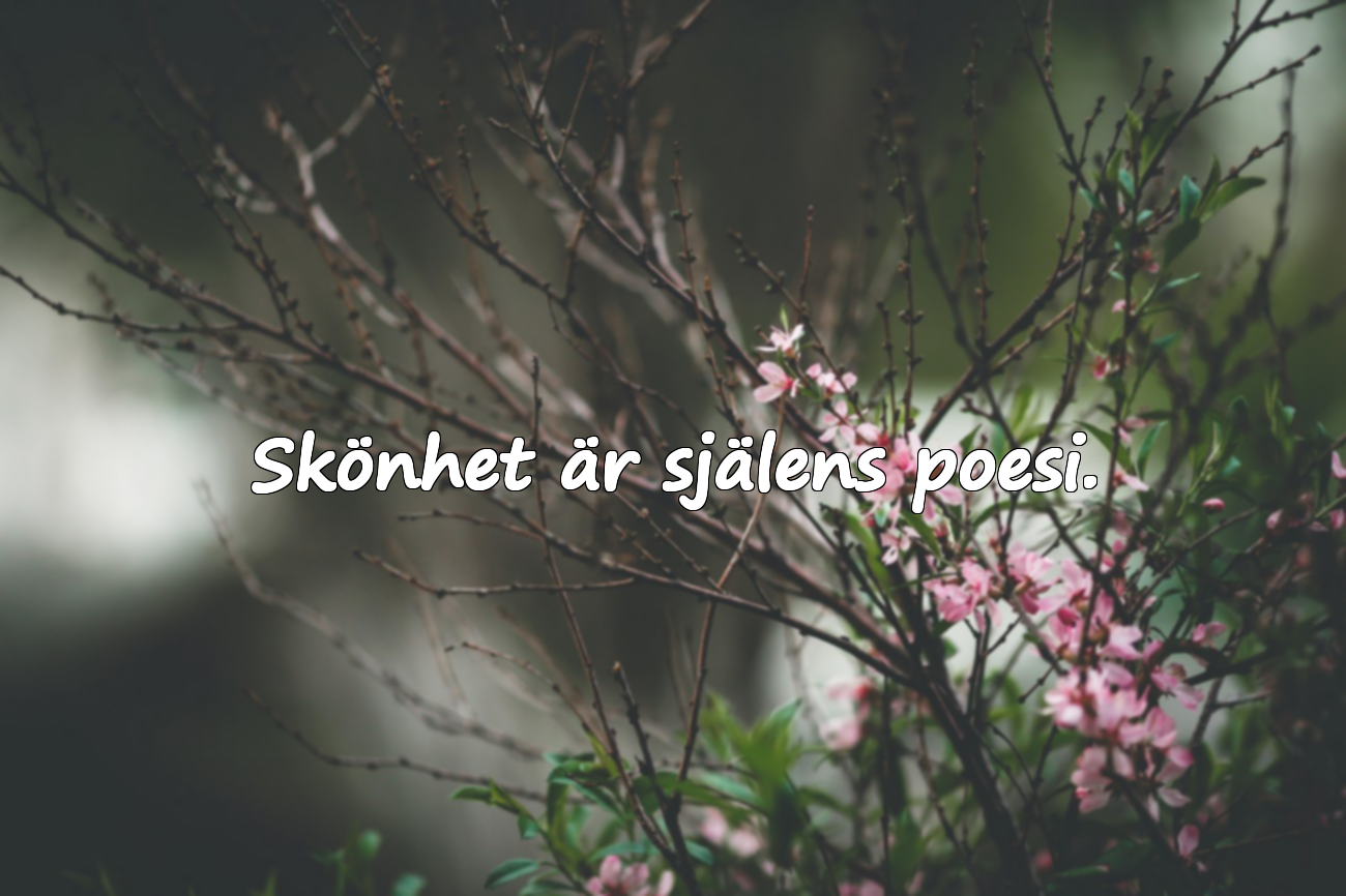 Skönhet är själens poesi.