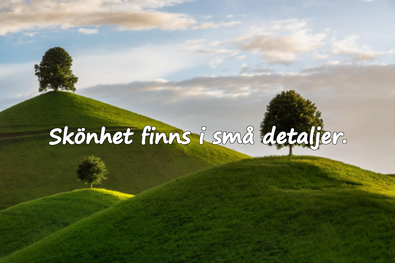 Skönhet finns i små detaljer.