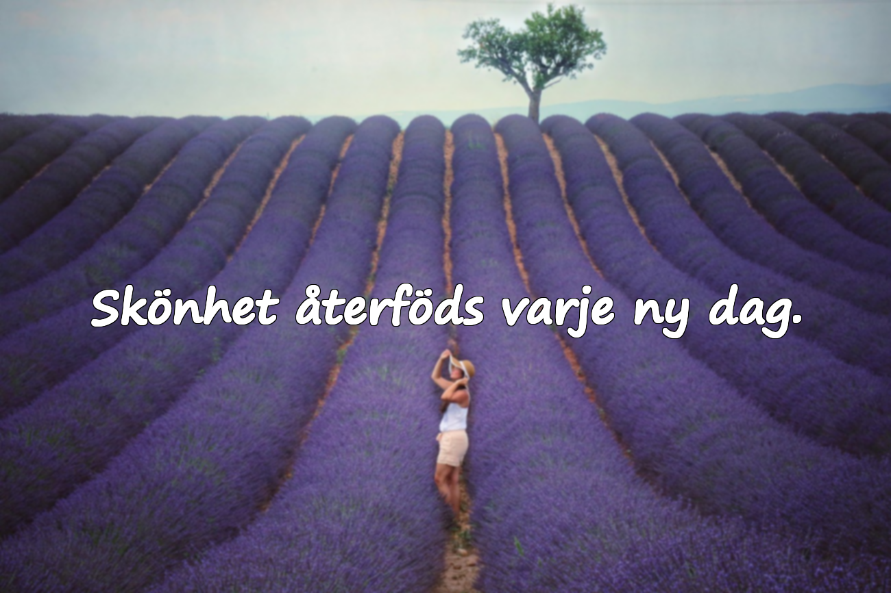 Skönhet återföds varje ny dag.