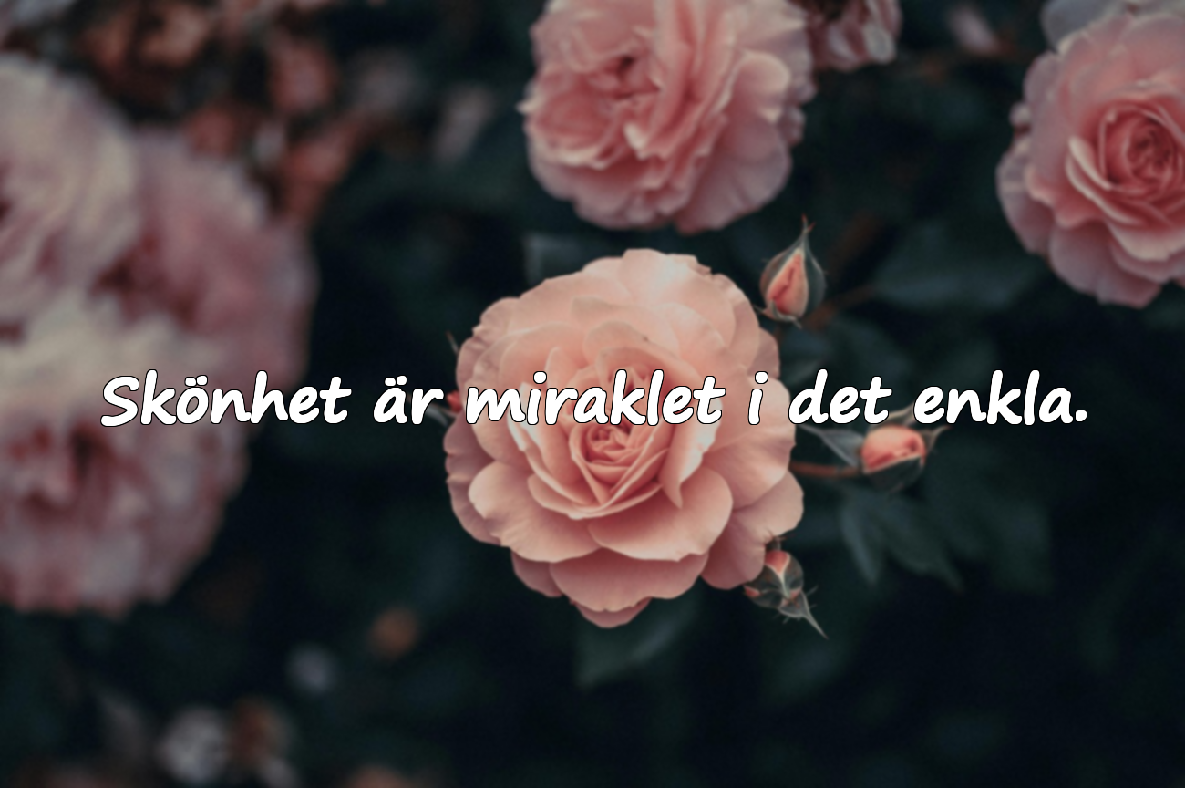 Skönhet är miraklet i det enkla.