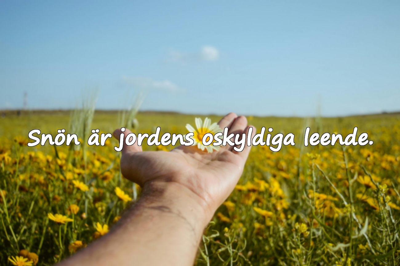 Snön är jordens oskyldiga leende.