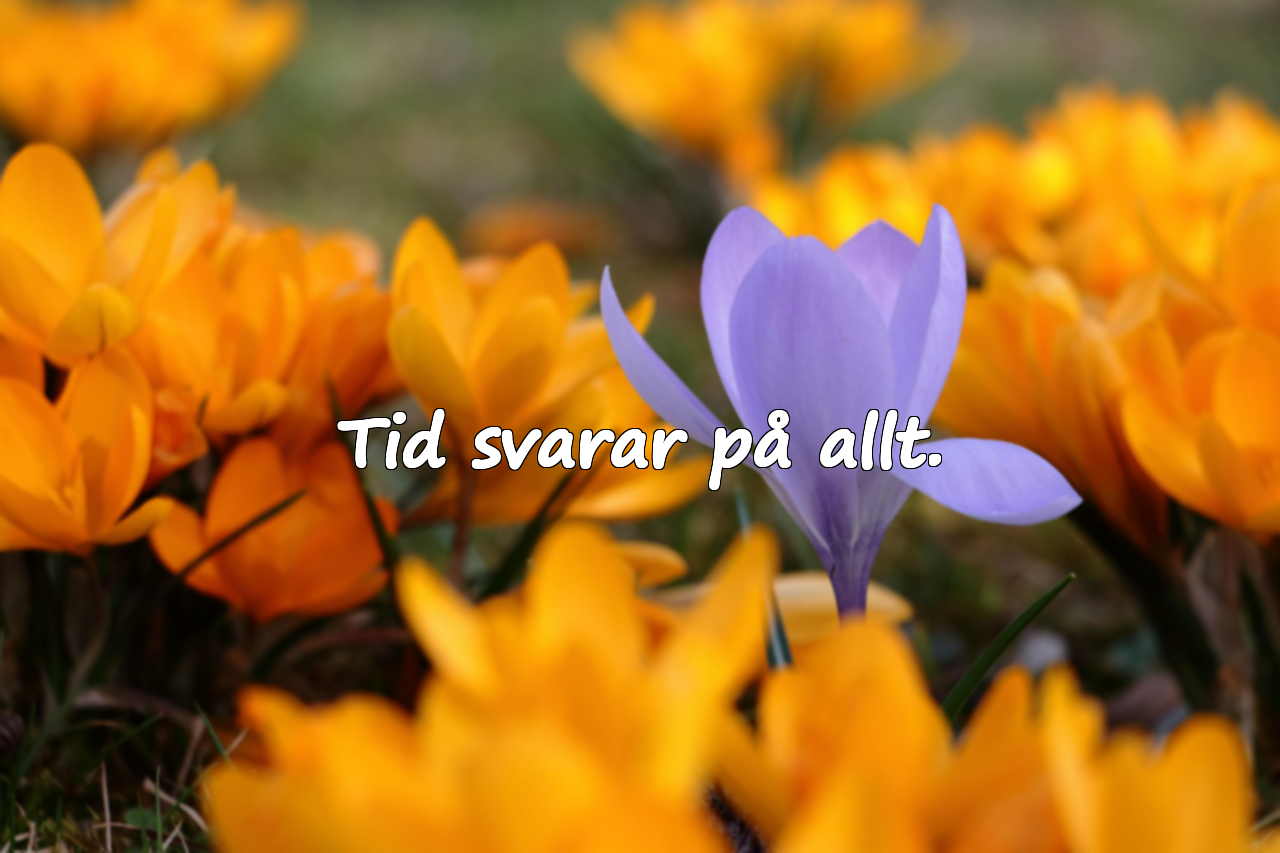 Citat om Tid
