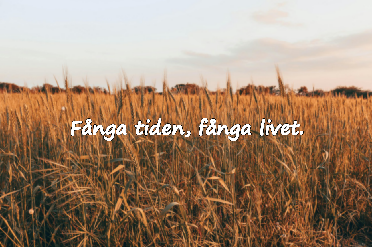 Citat om Tid