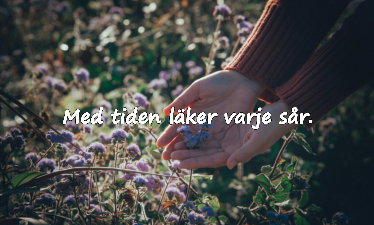 Citat om Tid