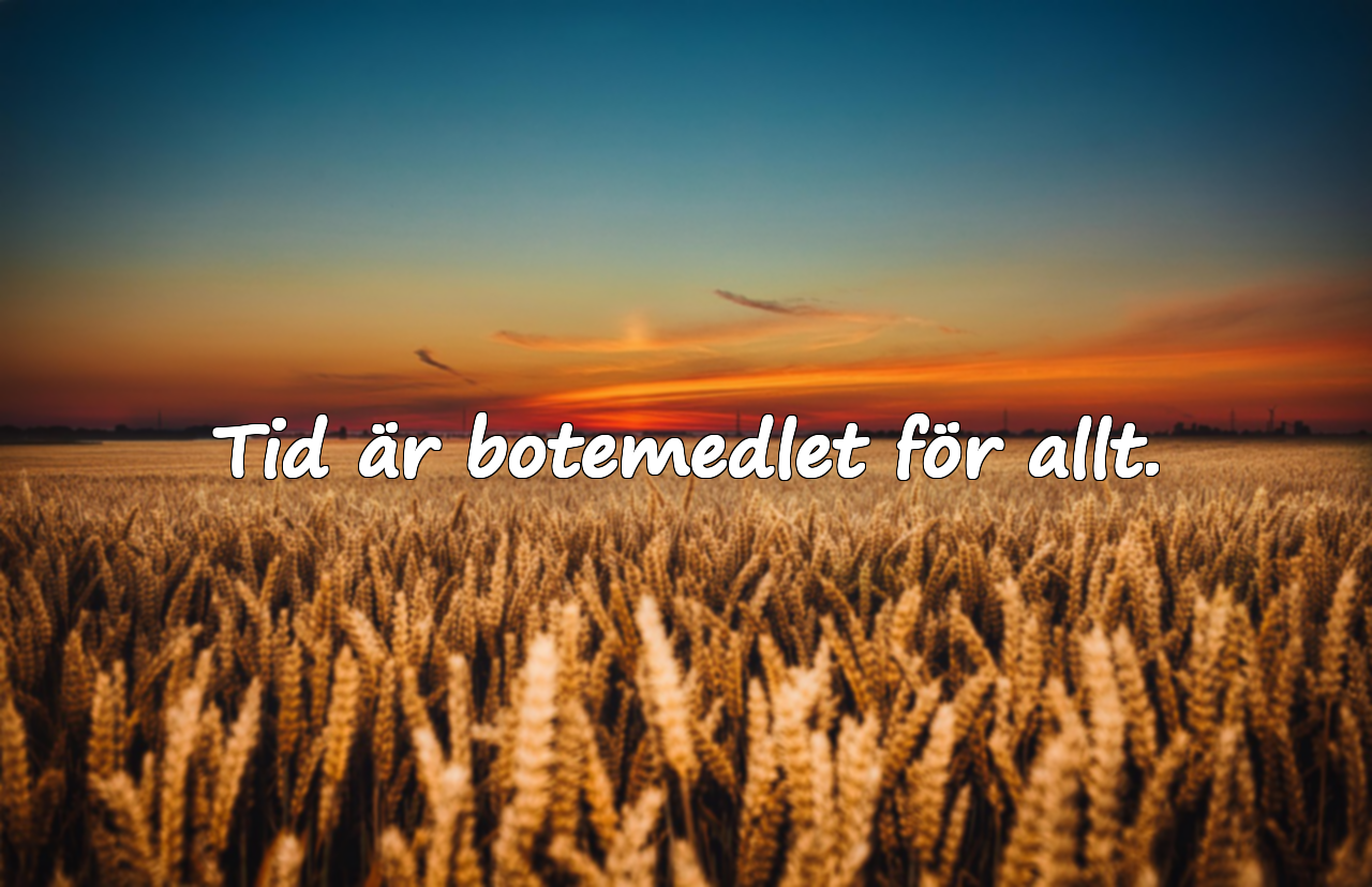 Citat om Tid