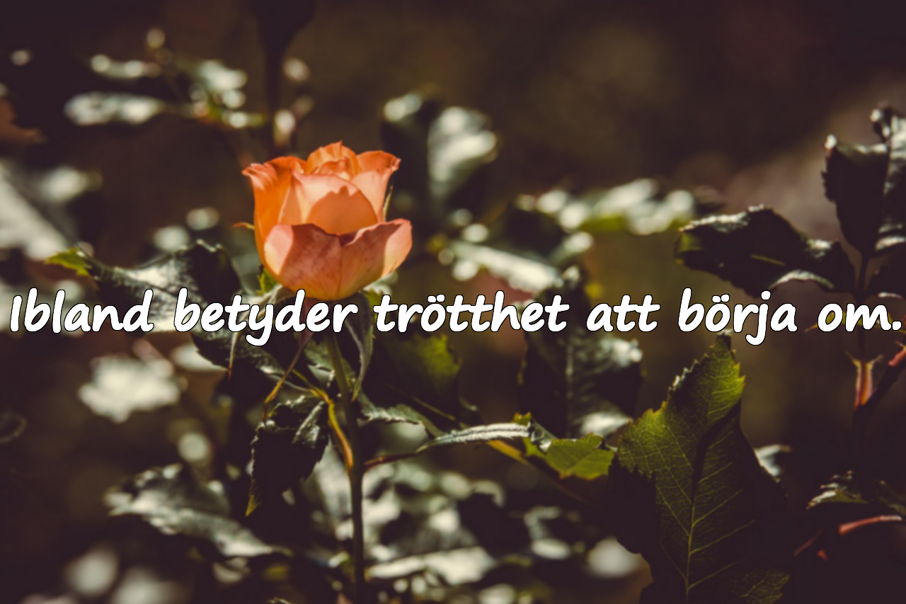 Citat om Trötthet
