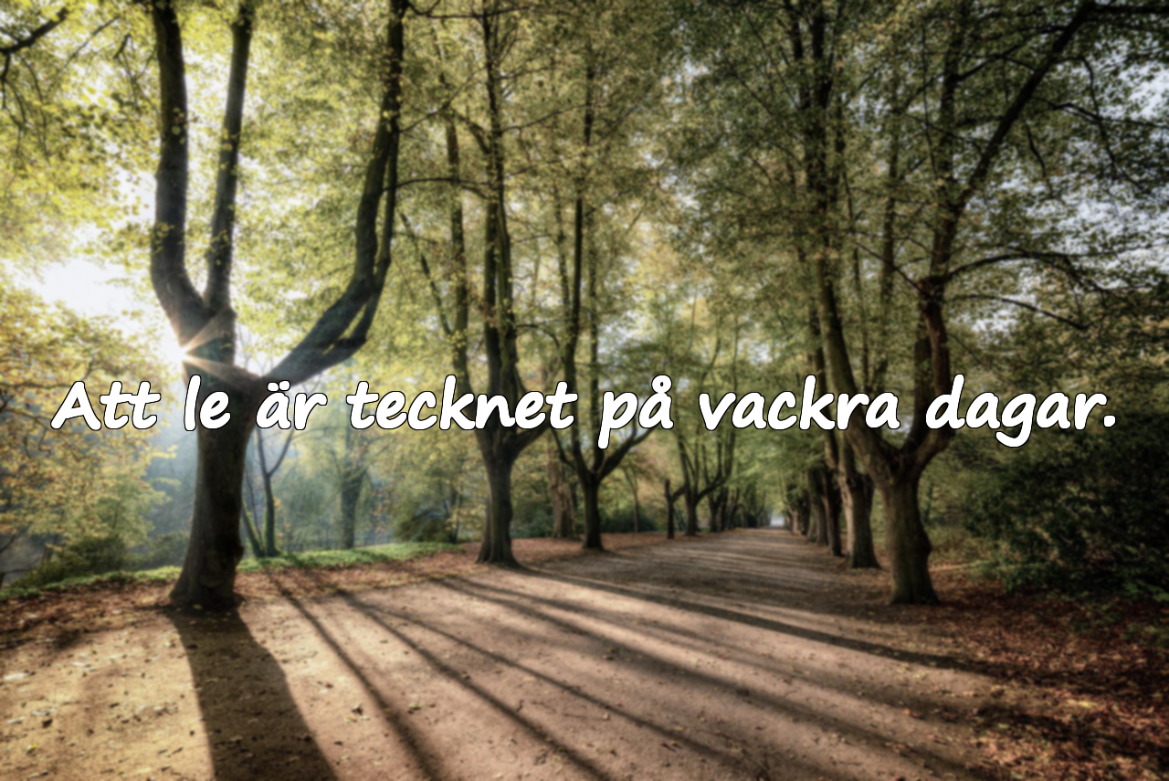 Citat om Vackra Dagar