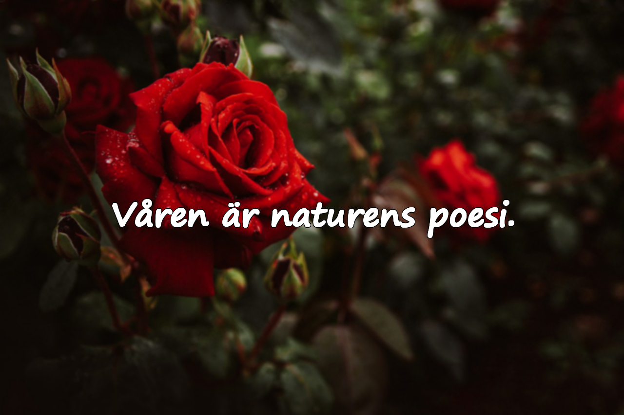 Citat om Våren
