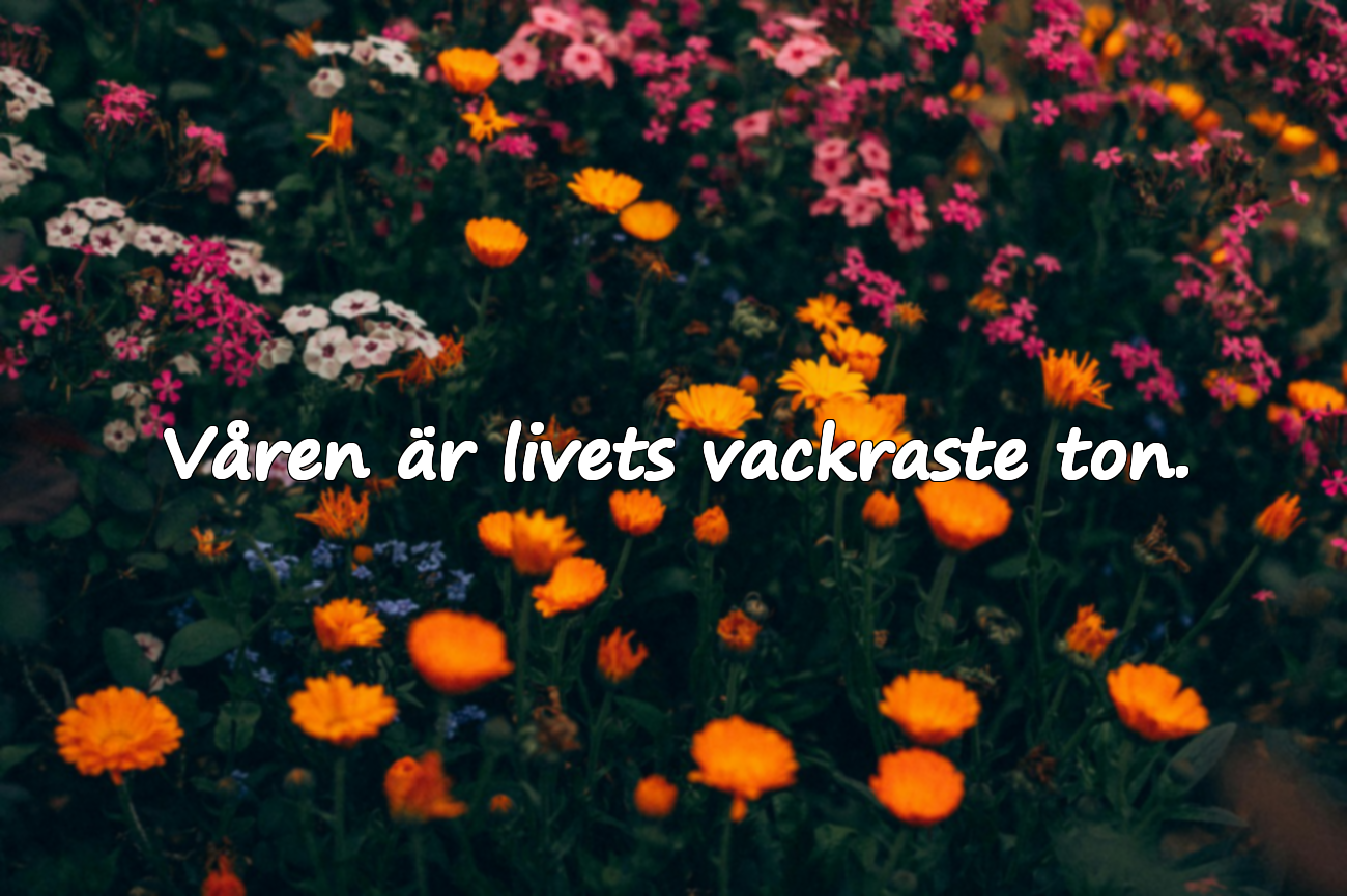 Citat om Våren