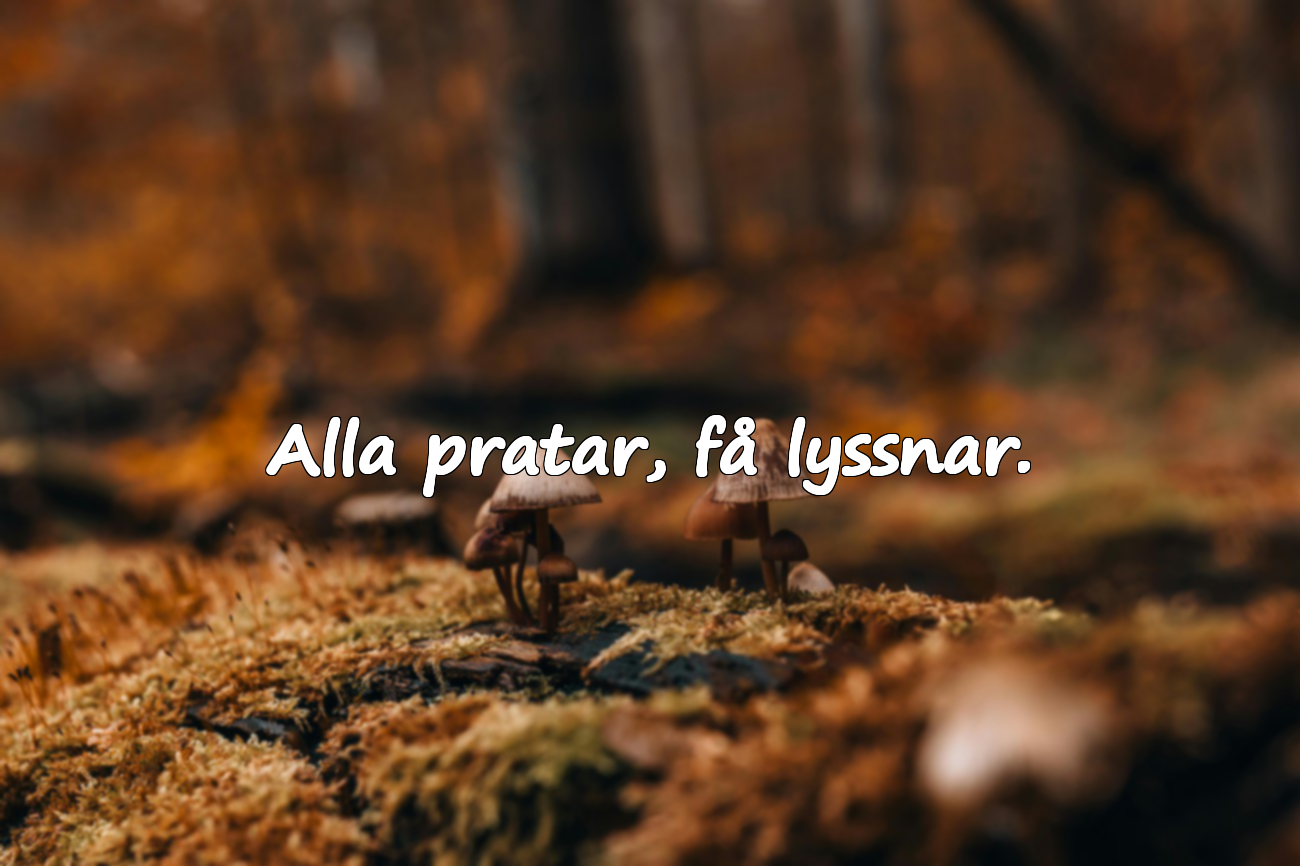 Citat om Övermod