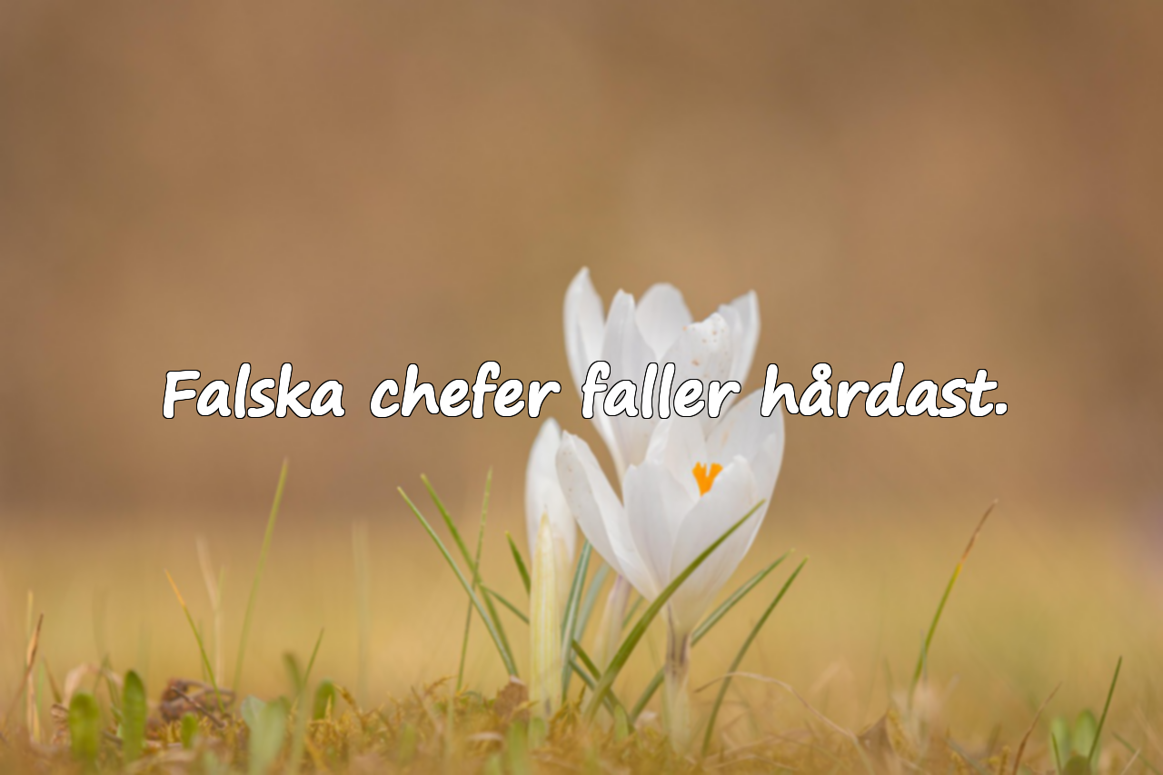 Citat om Övermod