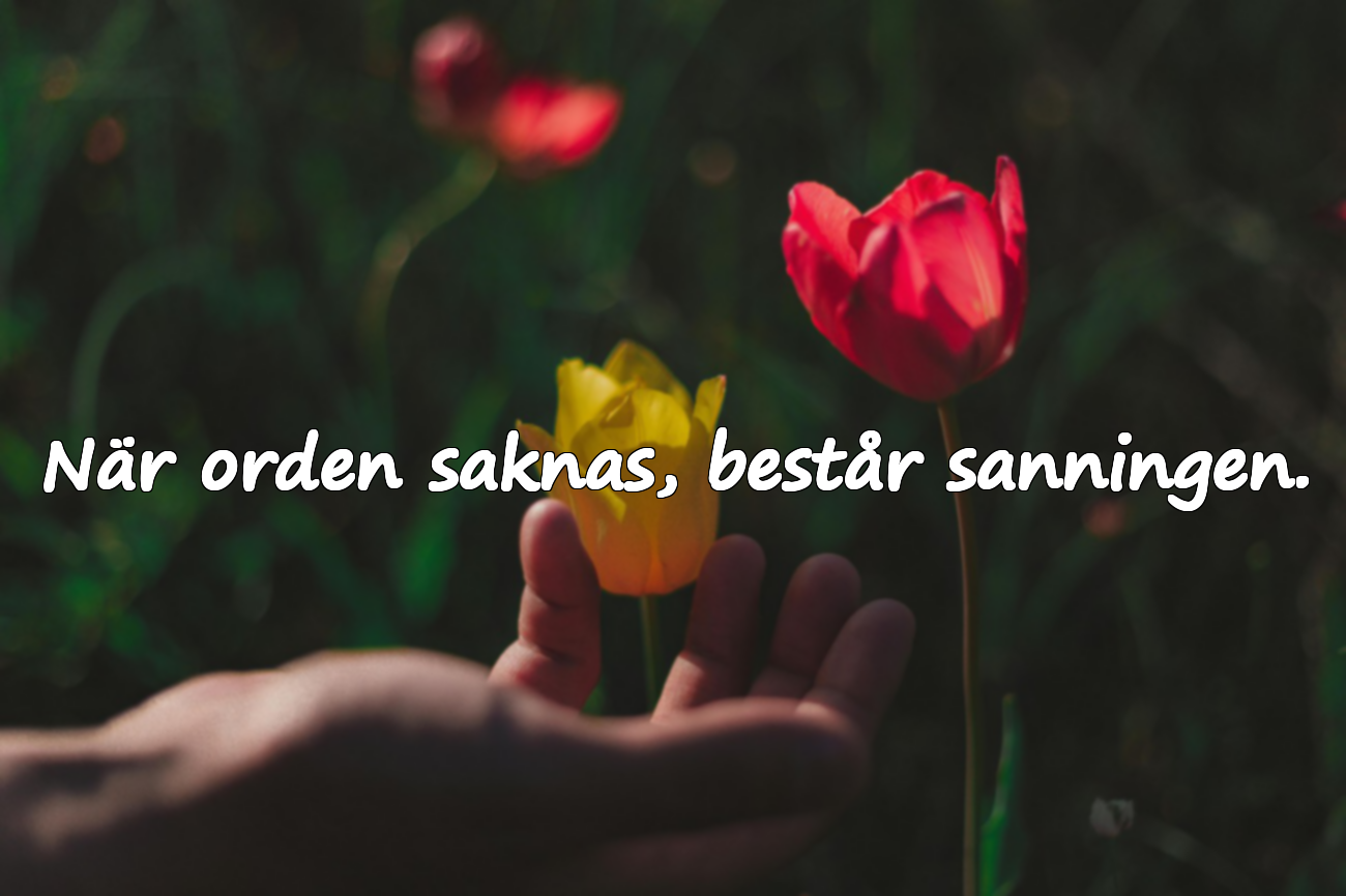 När orden saknas, består sanningen.