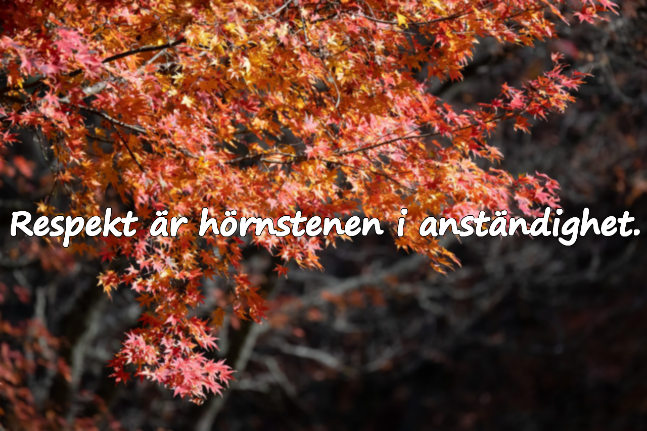 Citat om anständighet och artighet