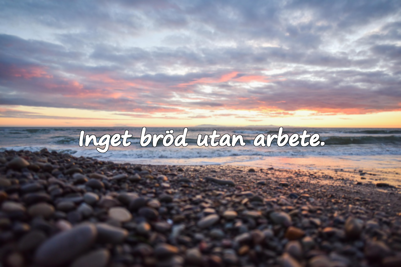 Inget bröd utan arbete.