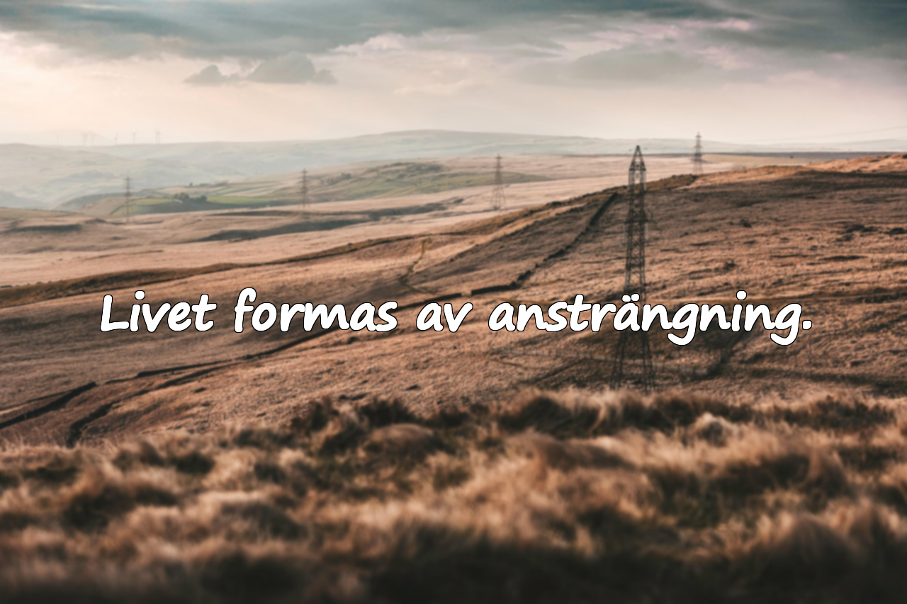 Citat om ansträngning