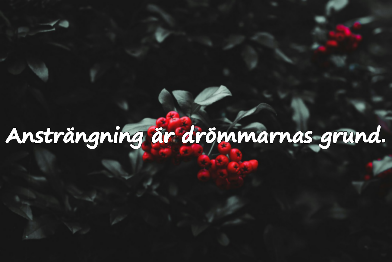 Citat om ansträngning