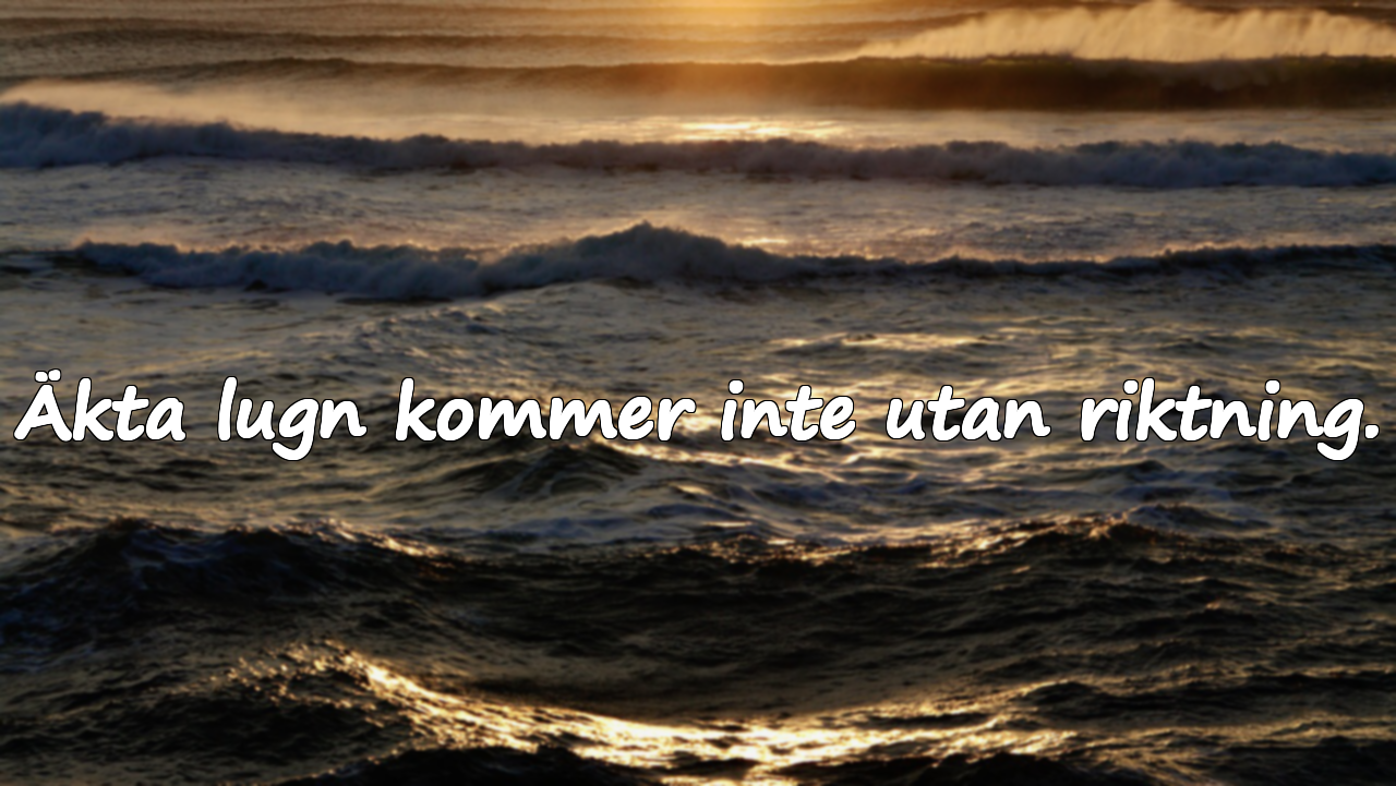 Citat om arbete, ansträngning och uthållighet